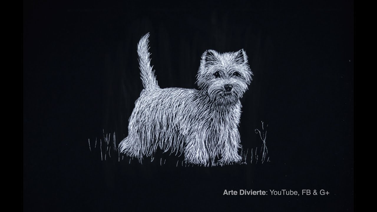 Cómo dibujar un West Highlinds White Terrier (Perro) - Narrado