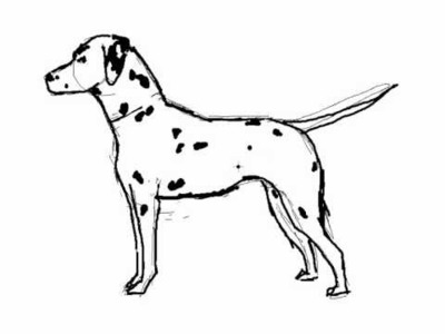 Cómo se dibuja un perro Dalmata - Dibujos de perros