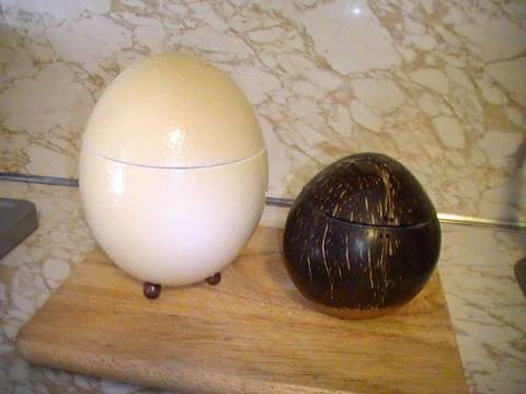Idea para un huevo de avestruz o un coco.