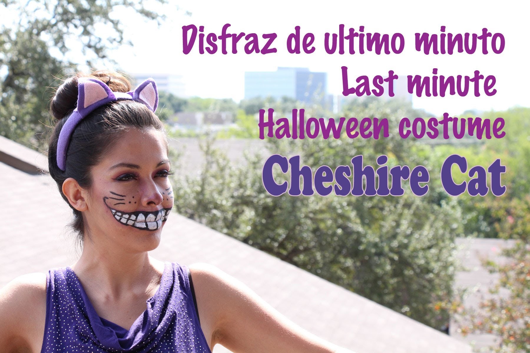 Last minute halloween costume, dizfras de ultimo minuto, Cheshire cat