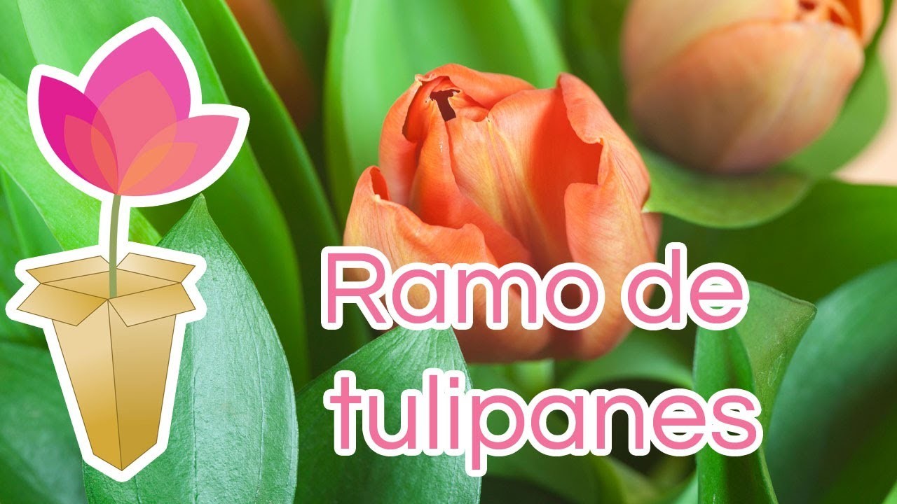 Cómo hacer un ramo de tulipanes