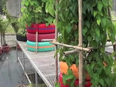 Las Gomas en Huertos Urbanos