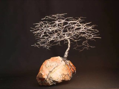 Árbol sobre roca. tipo bonsai