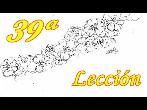 APRENDE A DIBUJAR! 39 ª Lección - Flor de almendro.Let's learn to draw! leccion 39