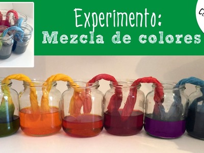 Experimentos caseros para niños: capilaridad y mezcla de colores