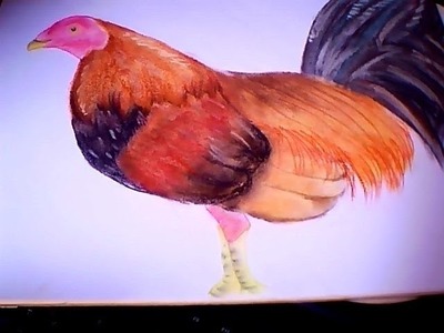Pintando un gallo con tizas pastel