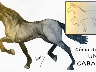 Cómo dibujar un caballo