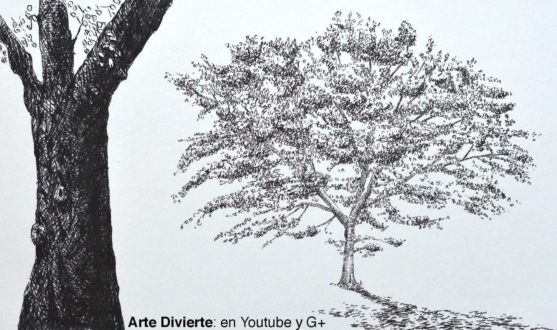 Dibujando árboles: cómo dibujar un roble con marcadores - Arte Divierte.