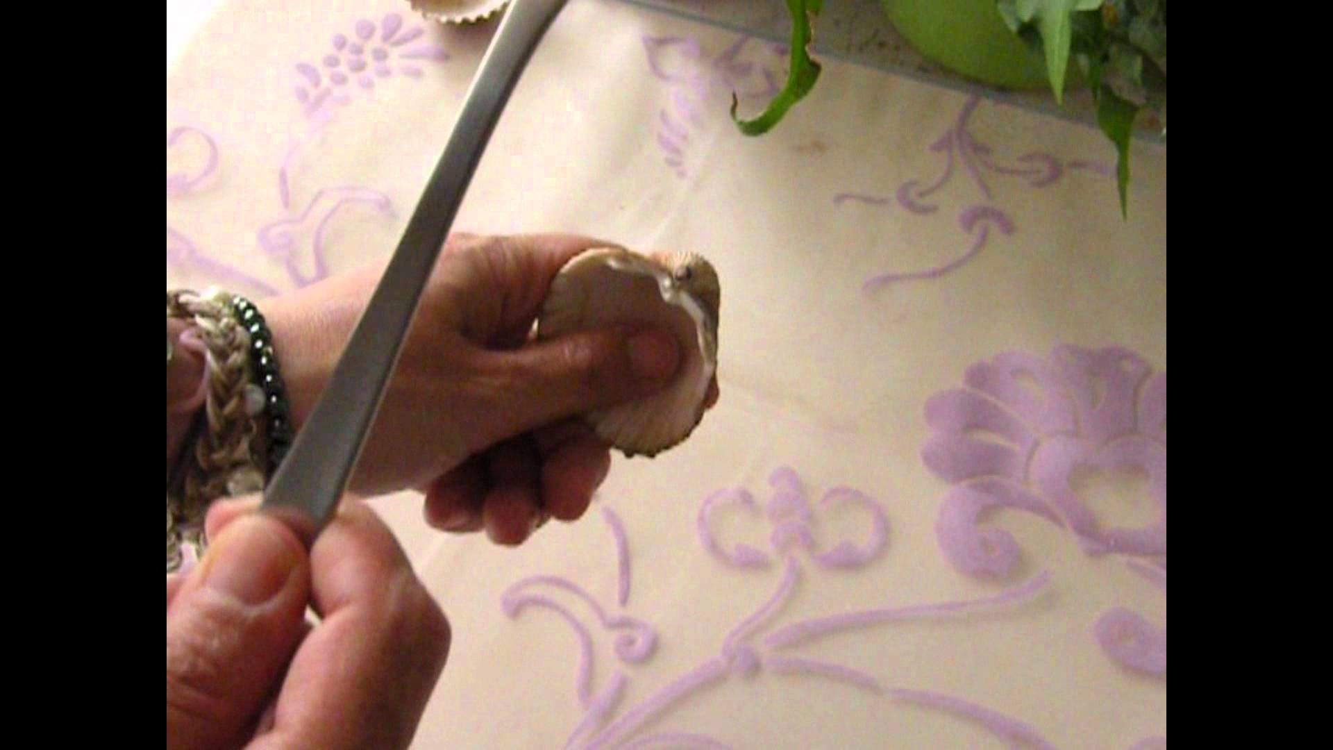 Manualidades y trucos: Hacer agujeros a las conchas con una cuchara
