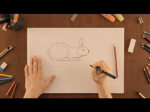 Cómo dibujar un conejo : Dibujos de la Naturaleza