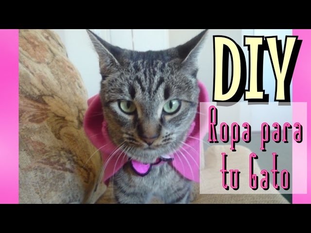 DIY Ropa para Gato