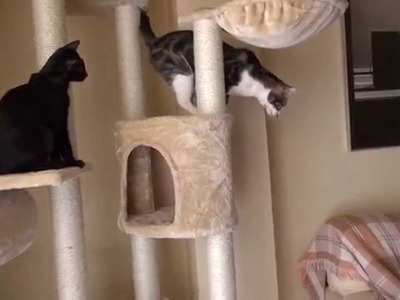 Rascador para gatos modelo Xanthos