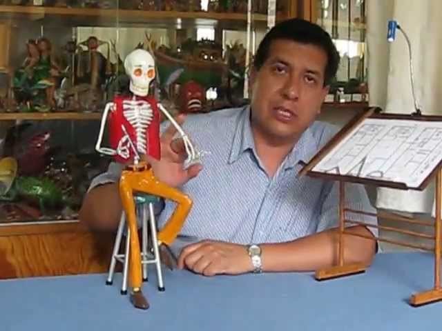 Esqueletos, catrinas, alebrijes, papel maché. Arte Popular Mexicano. SARR Cartonería.