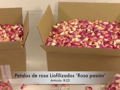 Pétalos de rosa liofilizados 'Rosa pasión'