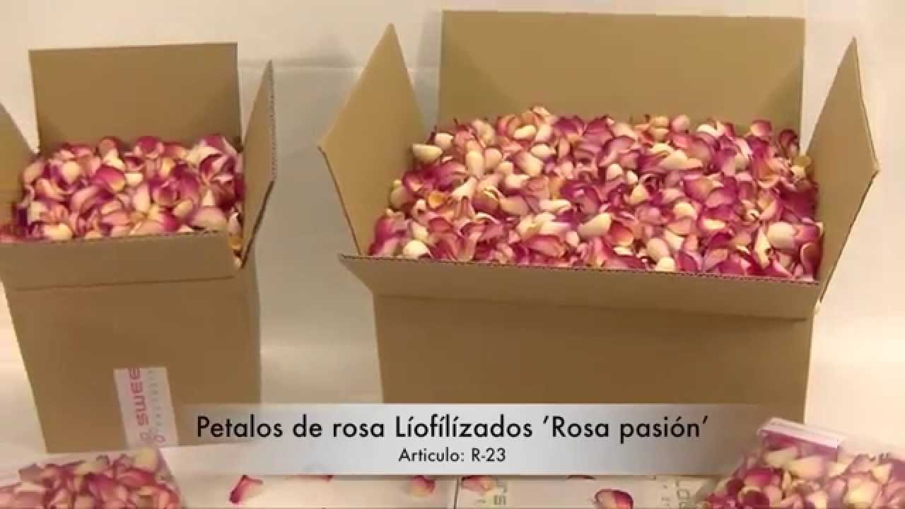 Pétalos de rosa liofilizados 'Rosa pasión'