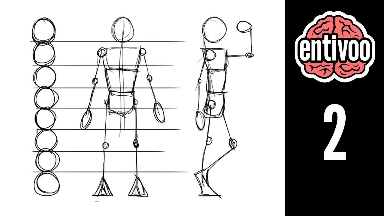 Aprende a dibujar el esqueleto y sus proporciones - Parte 1