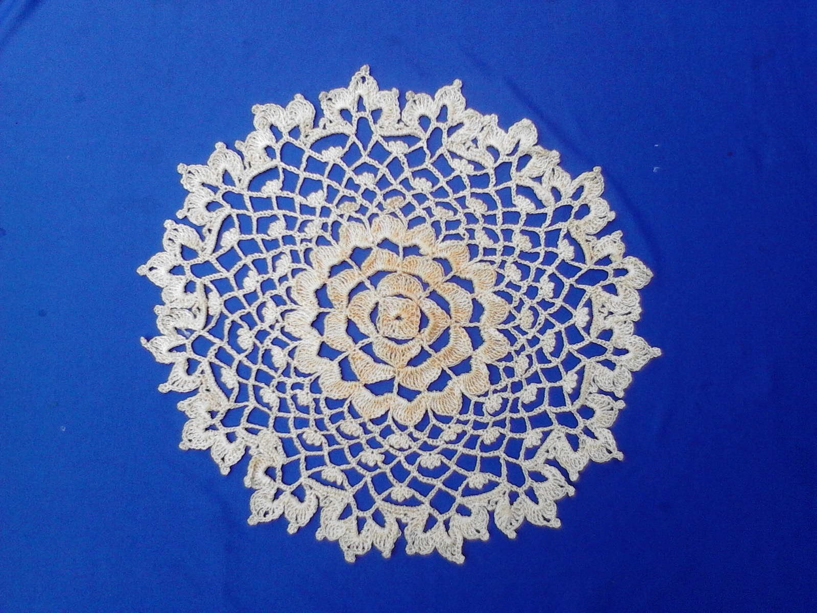 Carpeta crochet  Selene