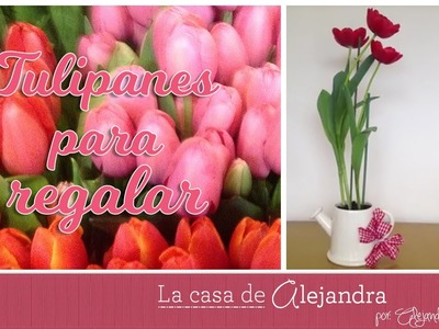 Planta Tulipanes en Agua y Tierra - DIY Alejandra Coghlan
