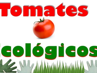 Cómo Cultivar los Tomates en un Huerto Orgánico & Tropical