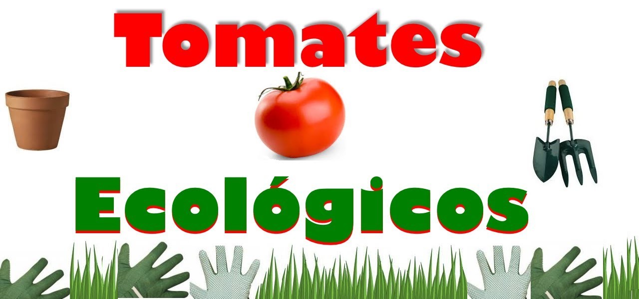 Cómo Cultivar los Tomates en un Huerto Orgánico & Tropical