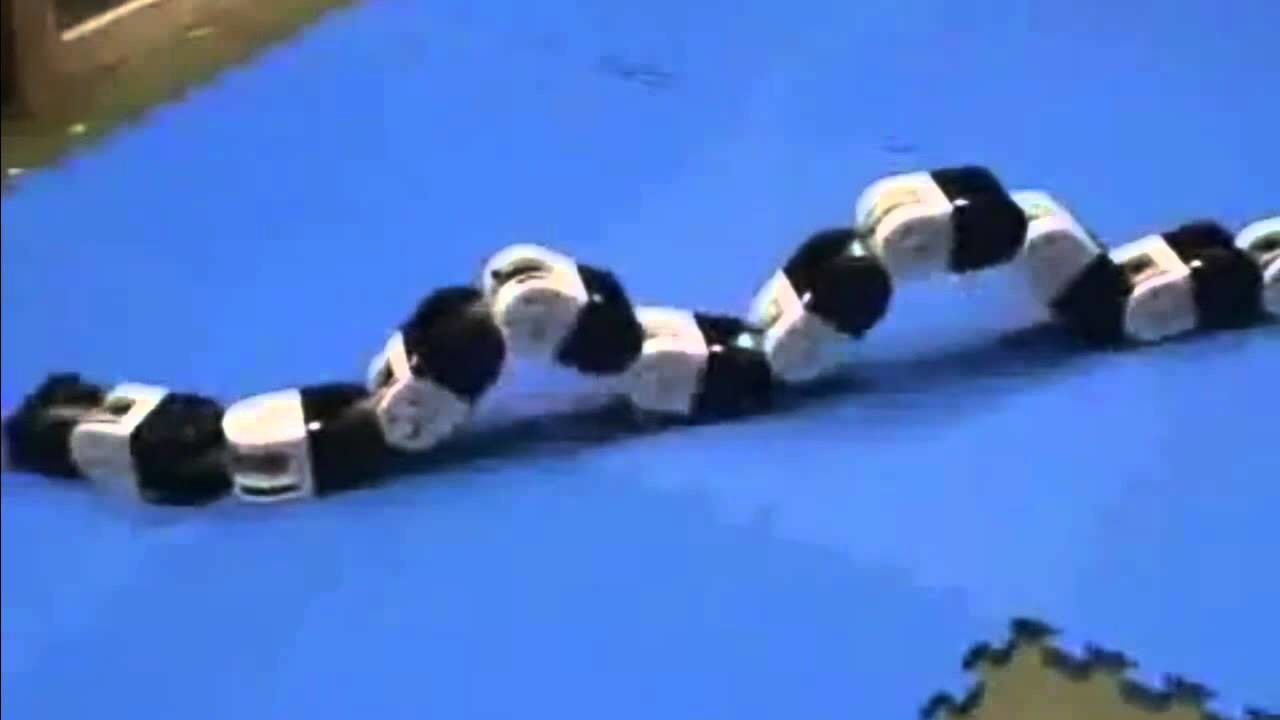 El robot gusano más avanzado del mundo