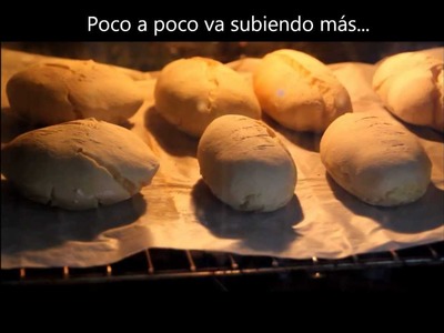 Pan rustico sin gluten. www.canalsingluten.com .Rustic bread gluten free