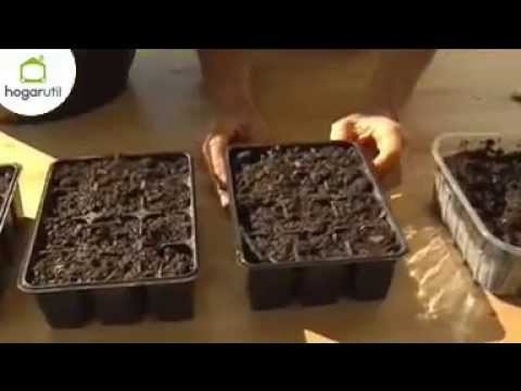 Preparar semilleros para la siembra