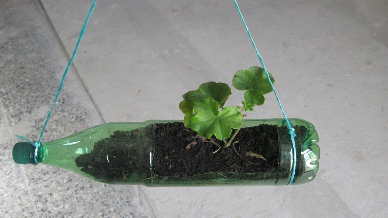DIY; ¿Como hacer macetas con botellas plásticas, manualidades ecológicas.