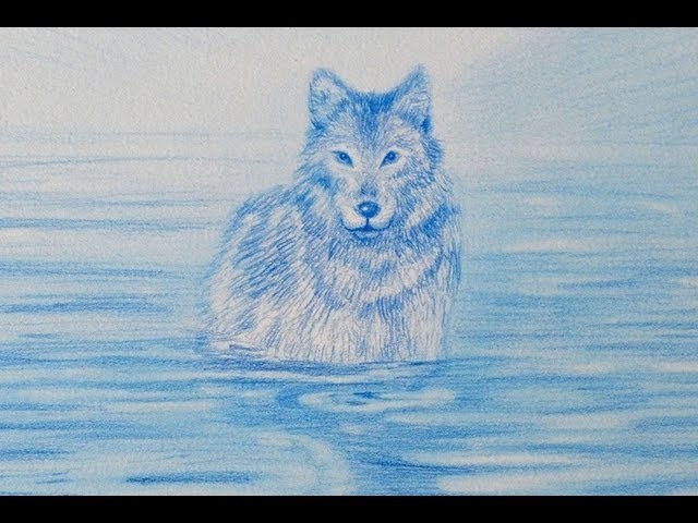 Cómo dibujar un lobo - Arte Divierte.
