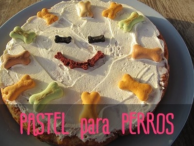 PASTEL de cumpleaños para PERRO |  Receta casera, natural y fácil!
