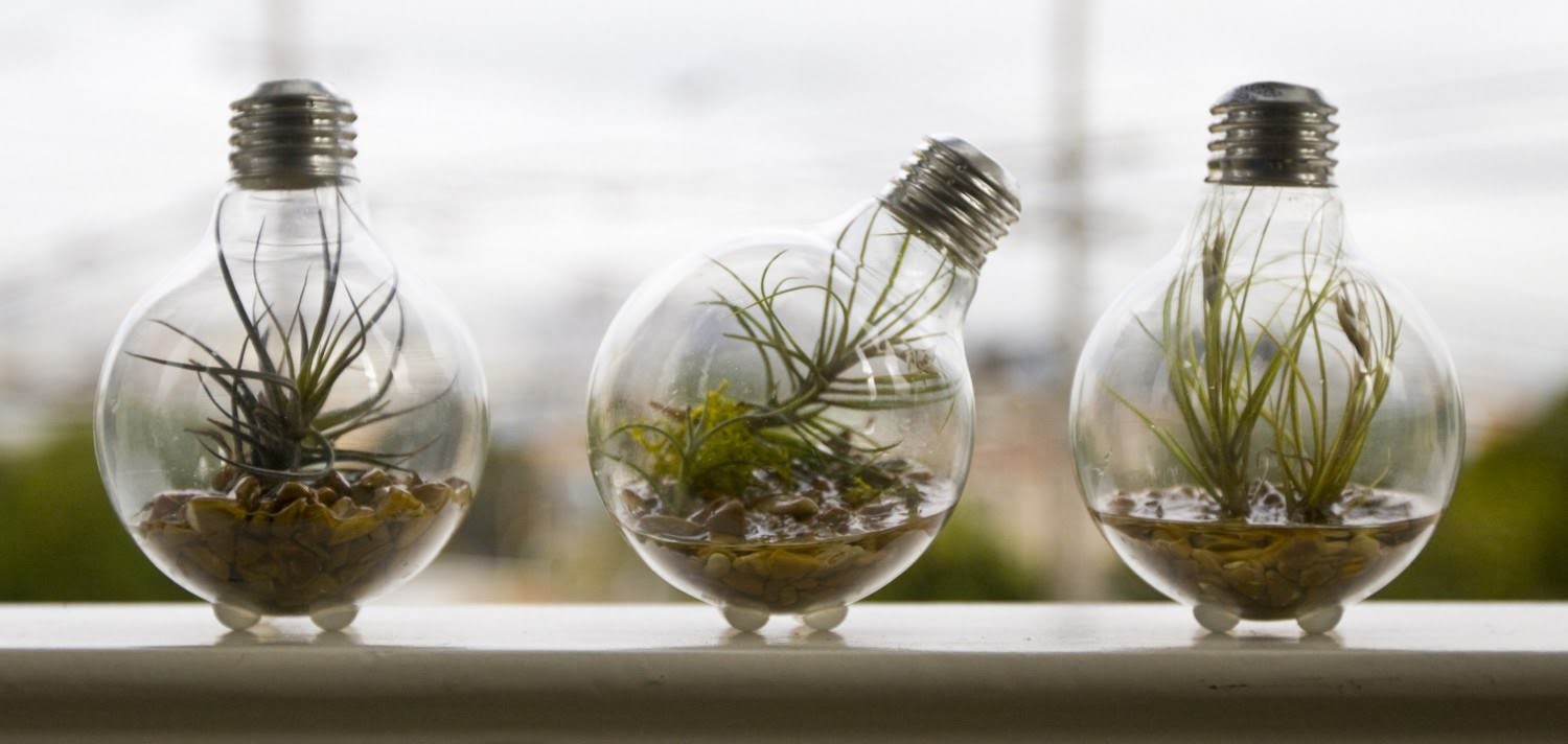 1000 Ideas originales para el reciclaje de bombillas tradicionales