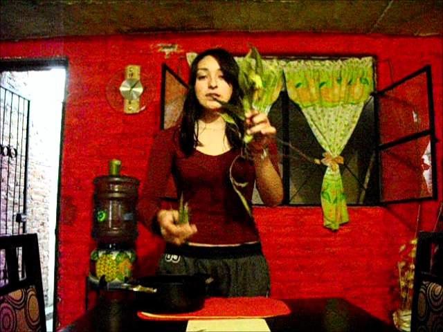 Colorantes vegetales.wmv