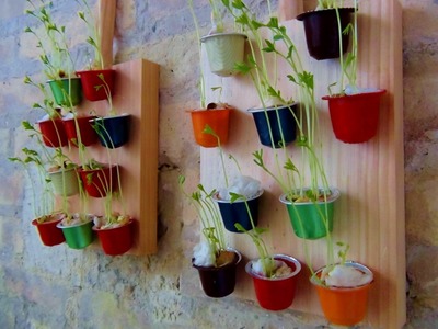 Jardín vertical con cápsulas de café How to make a decorative mini wall garden with lentils