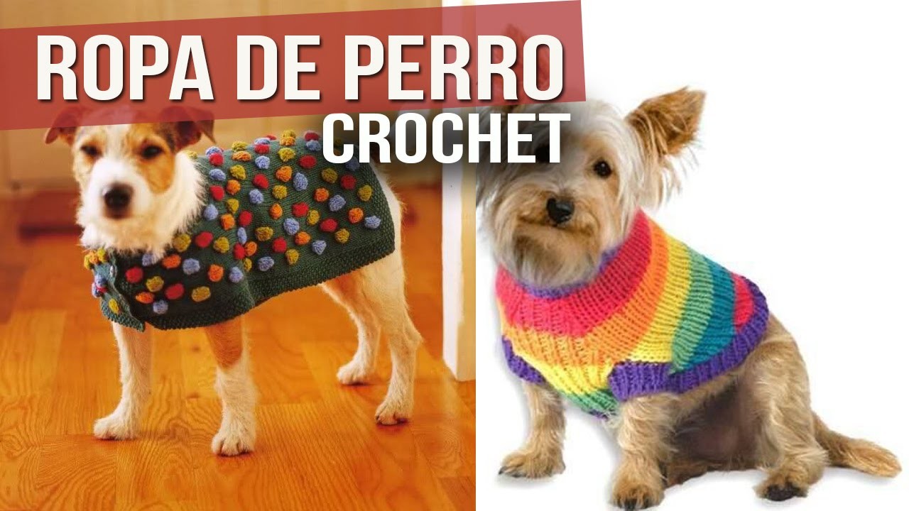 Ropa Para Perro Tejida a Crochet ( ideas y Diseños )
