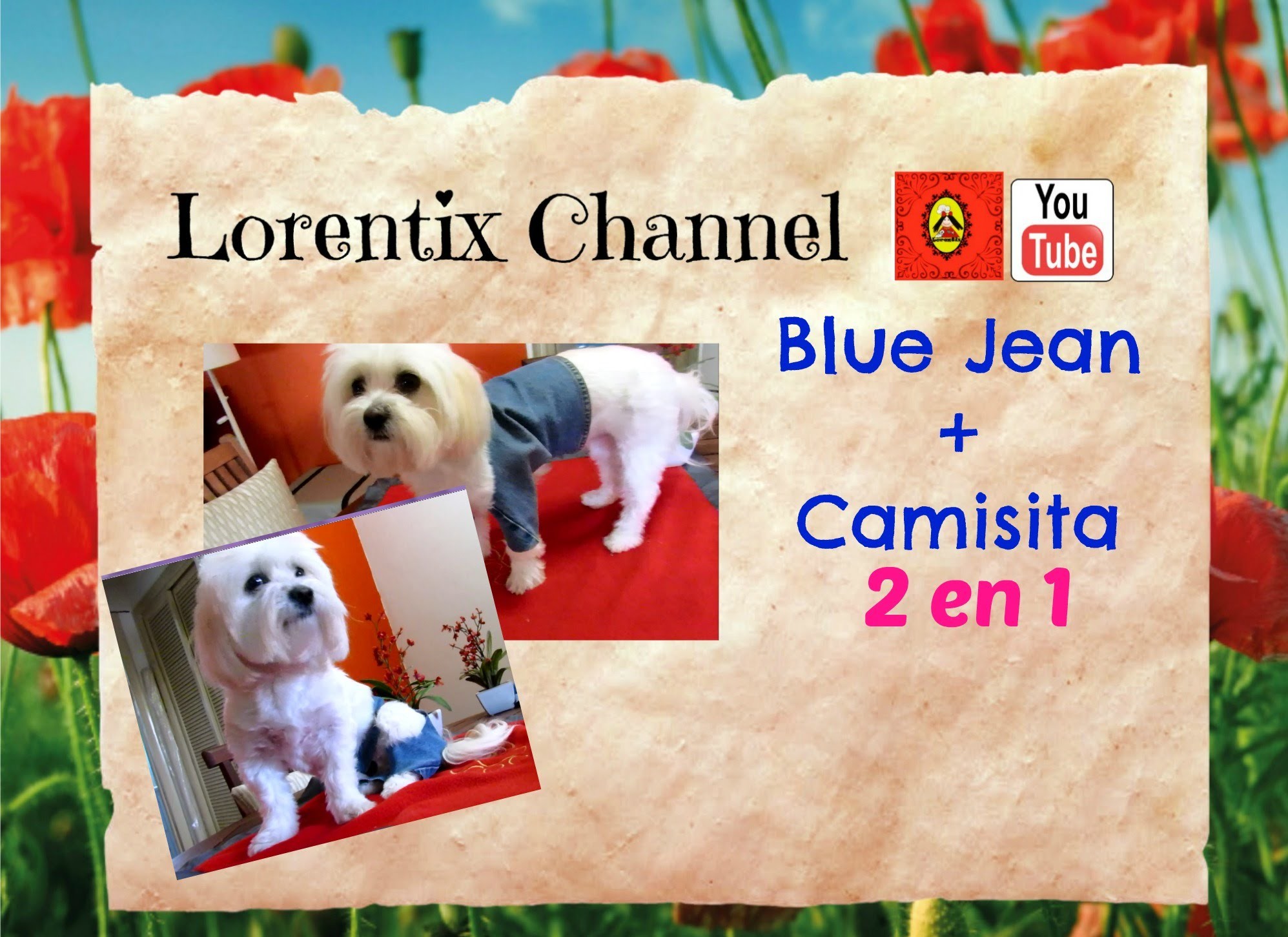 DIY Blue Jean y Camisa para Perrito FACIL  2 en 1 I Lorentix