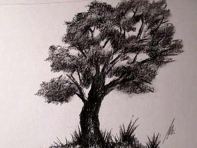 Cómo dibujar un árbol al Carboncillo, cómo dibujar árboles HD