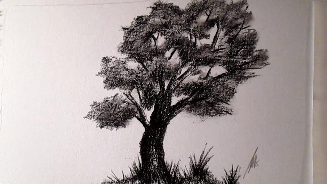 Cómo dibujar un árbol al Carboncillo, cómo dibujar árboles HD