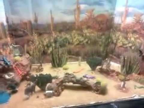 Proyecto diorama del desierto