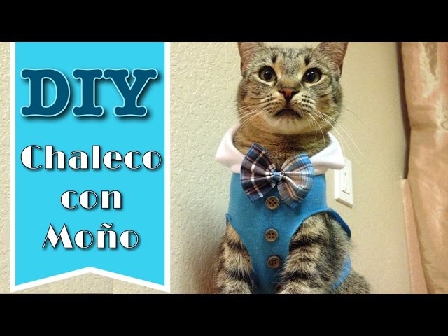 DIY Chaleco con Moño para Gatos