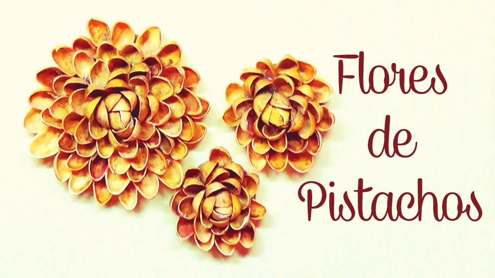 DIY : Flores De Pistachos - Brotes De Creatividad