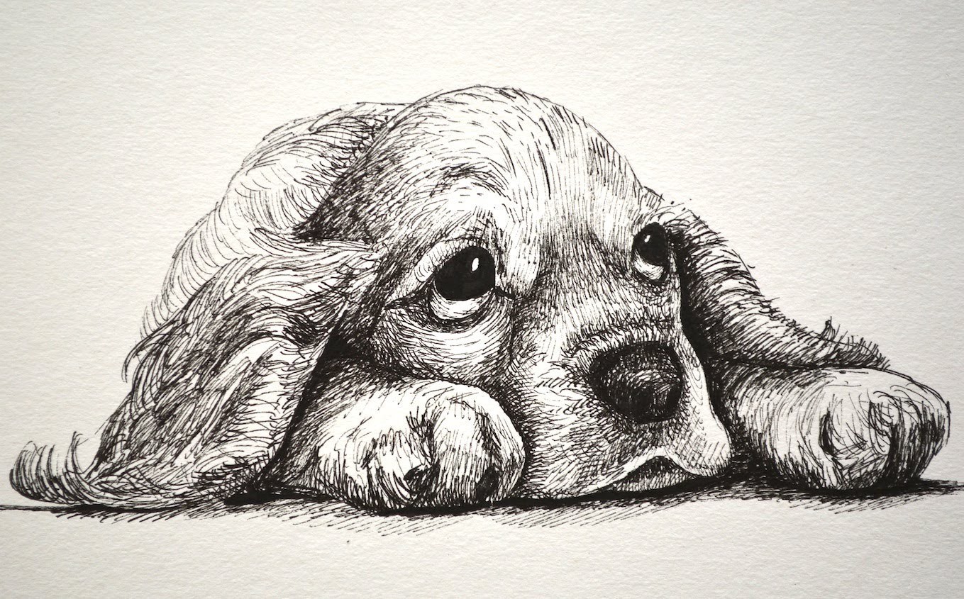 Cómo dibujar un perro cachorro y triste y tierno con marcadores- Arte Divierte