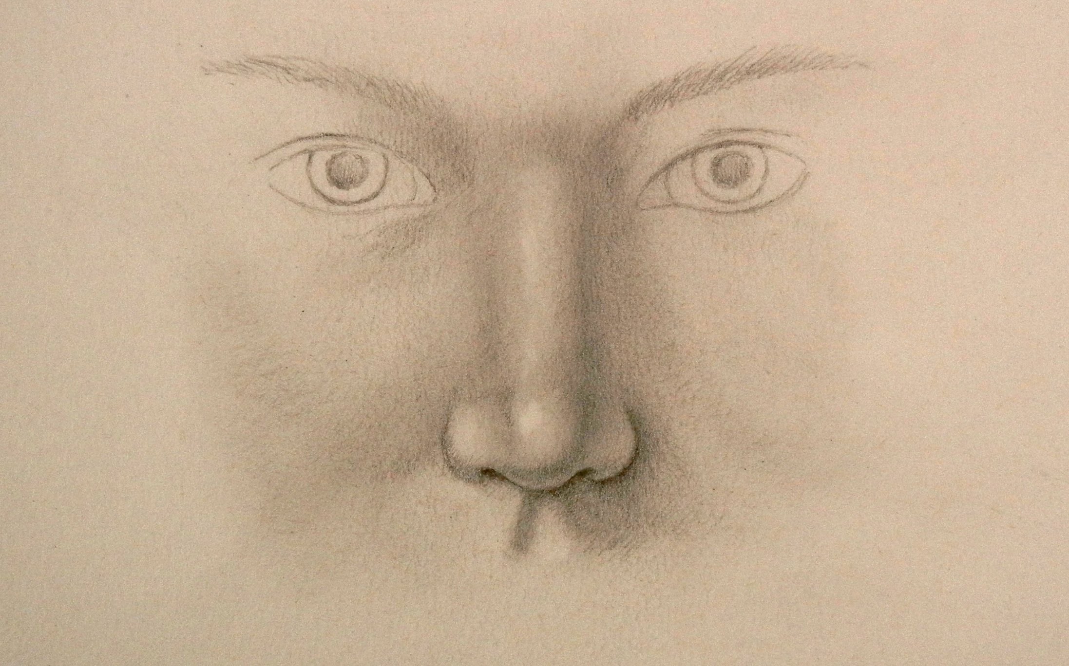 Cómo dibujar una nariz realista - Arte Divierte.
