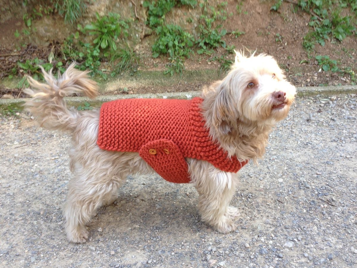 Cómo tejer en telar un jersey para perro (Tutorial DIY)