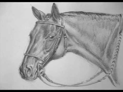 Cómo aprender a dibujar caballos - Método Schwatz .