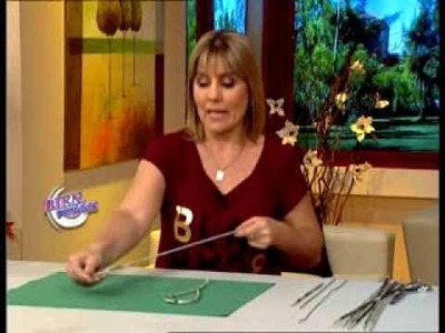 Silvina Buquete - Bienvenidas TV - Realiza Flores en Cestería.