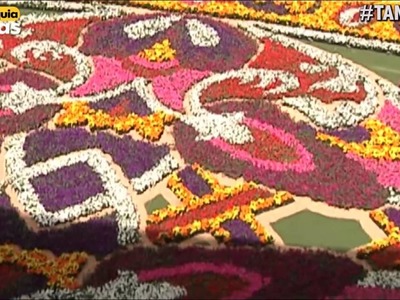 Tapete de flores, uno de los principales atractivos de la feria