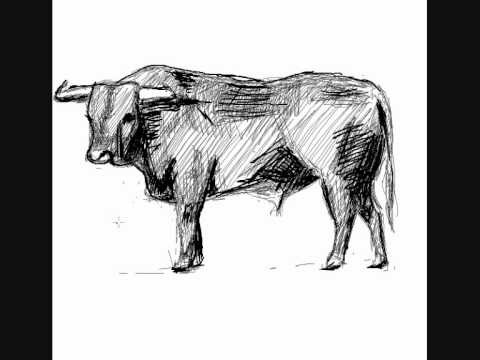 Como dibujar un toro - How to draw a bull