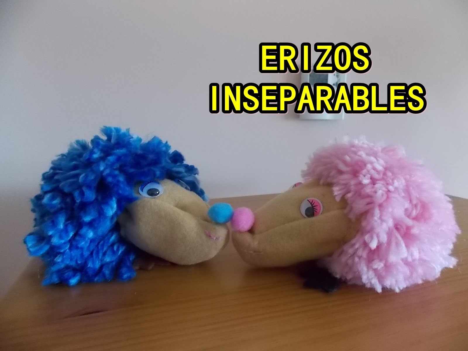 Cómo hacer Erizos inseparables DIY