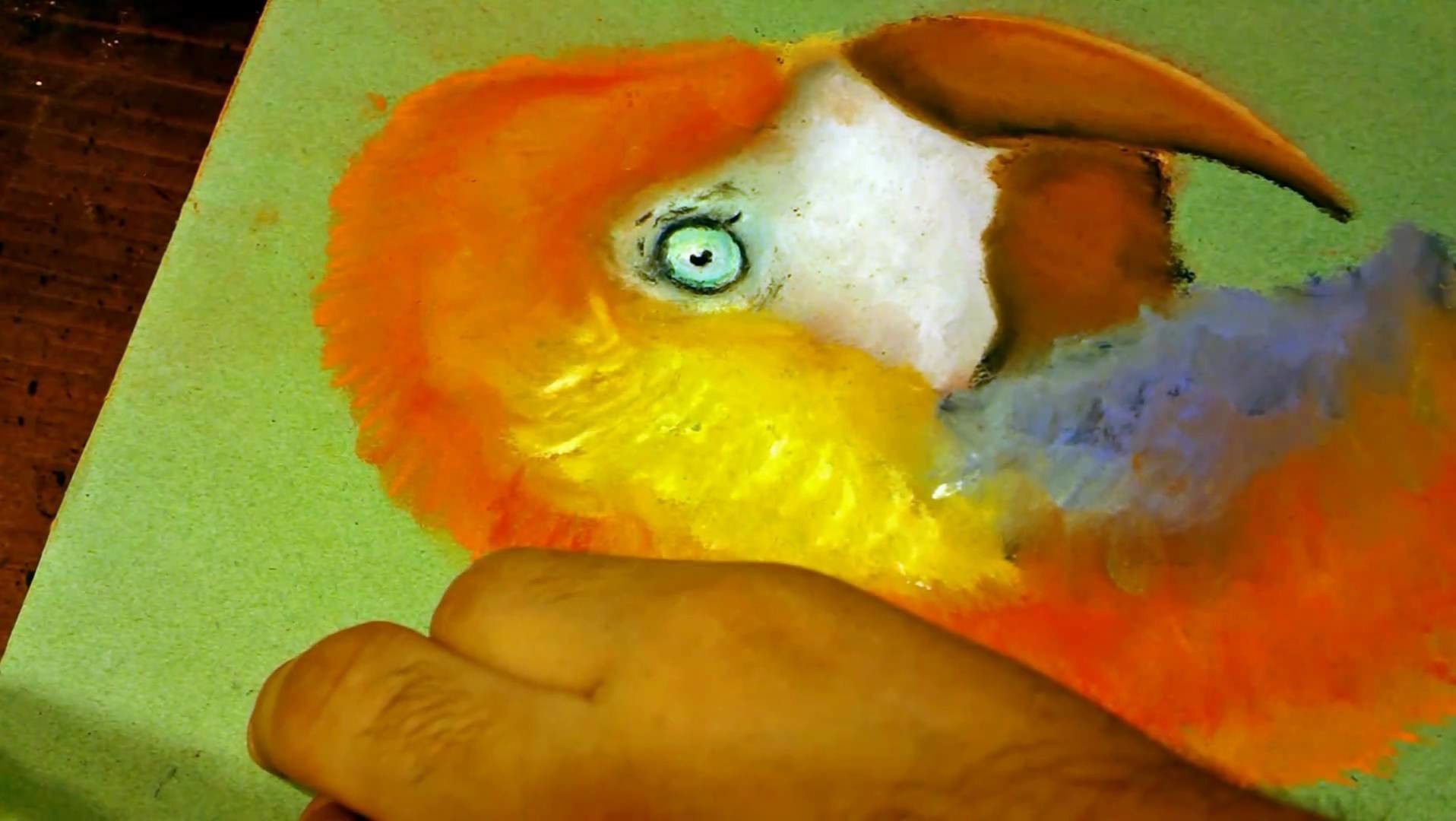 Pintura de Guacamaya. Soft Pastels Parrot