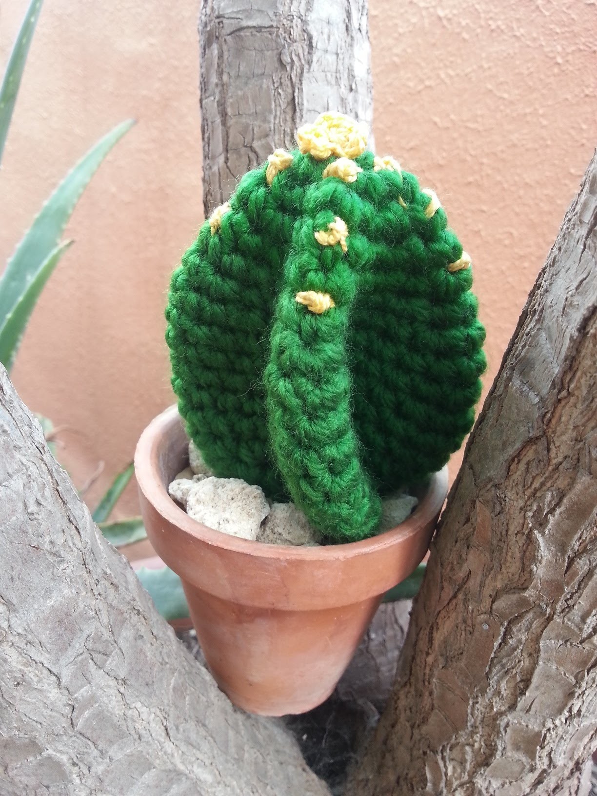 Tutorial de crochet.ganchillo, cactus facil de hacer.